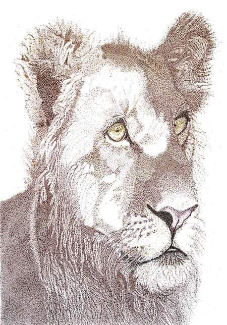 La Lionne
