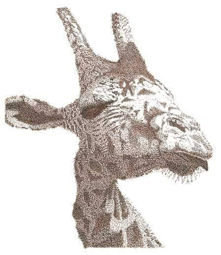 La Giraffe Moqueuse