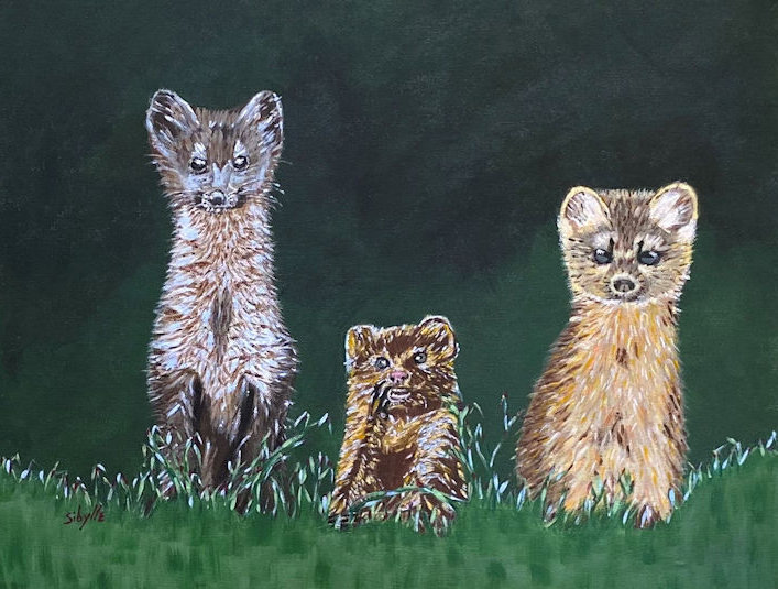 The Three Weasels